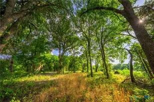 8606 Star Hollow Rd, Lipan, TX 76462 - Photo 8