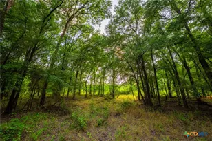 8606 Star Hollow Rd, Lipan, TX 76462 - Photo 26