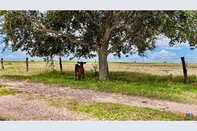 4228 County Road 256, Moulton, TX 77975 - Photo 42