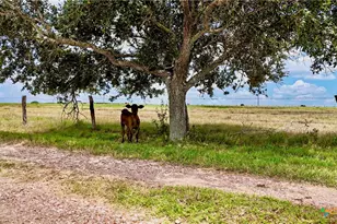 4228 Co Rd 256, Moulton, TX 77975 - Photo 42