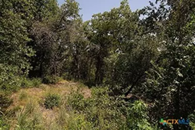 Tbd Post Oak Rim, Bastrop, TX 78602 - Photo 14