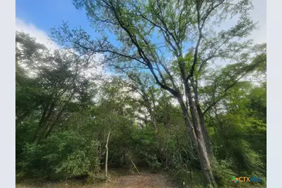 Tbd Post Oak Rim, Bastrop, TX 78602 - Photo 4