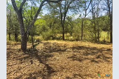 238 Sandy Mountain Drive, Sunrise Beach, TX 78643 - Photo 12