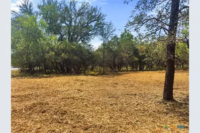 238 Sandy Mountain Drive, Sunrise Beach, TX 78643 - Photo 6