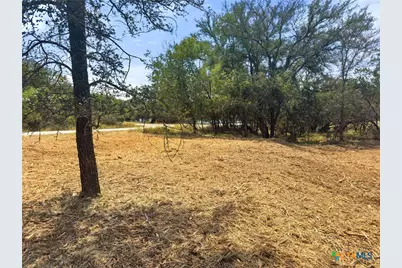 238 Sandy Mountain Drive, Sunrise Beach, TX 78643 - Photo 4