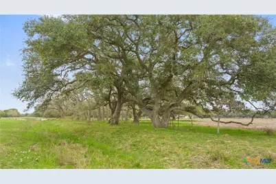 778 County Road 123, Edna, TX 77957 - Photo 40