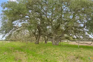 778 Co Rd 123, Edna, TX 77957 - Photo 40