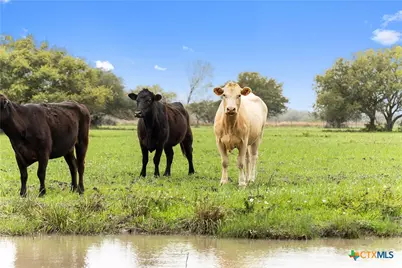 778 County Road 123, Edna, TX 77957 - Photo 2