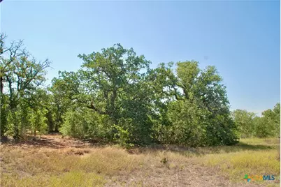 Tbd Cr 426, Waelder, TX 78959 - Photo 8