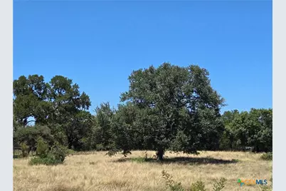 Lot 1 Blk 1 Cr 4765, Kempner, TX 76539 - Photo 2