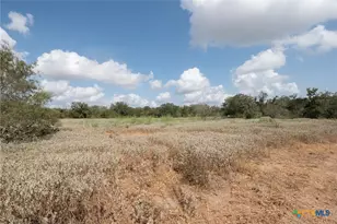 3695 E Hwy 97, Gonzales, TX 78629 - Photo 4