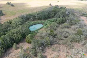 3695 E Hwy 97, Gonzales, TX 78629 - Photo 2