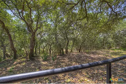 581 Lorne Road, Canyon Lake, TX 78133 - Photo 30