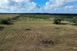 Tbd Brown Rd, Cuero, TX 77954 - Photo 1