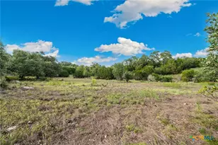 364 Butternut Wy, New Braunfels, TX 78132 - Photo 1