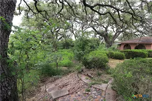 229 E Fannin St, Goliad, TX 77963 - Photo 34
