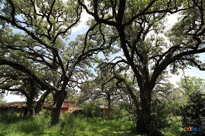 229 E Fannin Street, Goliad, TX 77963 - Photo 40