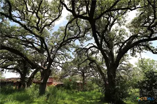 229 E Fannin St, Goliad, TX 77963 - Photo 40