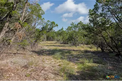 Tract 4 Mount Olive School Road, Wimberley, TX 78676 - Photo 14