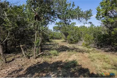 Tract 4 Mount Olive School Road, Wimberley, TX 78676 - Photo 12