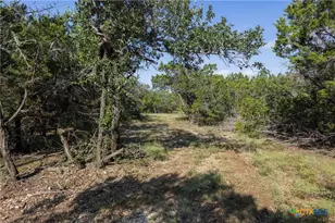 Tract 4 Mount Olive School Rd, Wimberley, TX 78676 - Photo 12