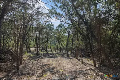 Tract 4 Mount Olive School Road, Wimberley, TX 78676 - Photo 4