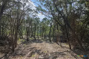 Tract 4 Mount Olive School Rd, Wimberley, TX 78676 - Photo 4