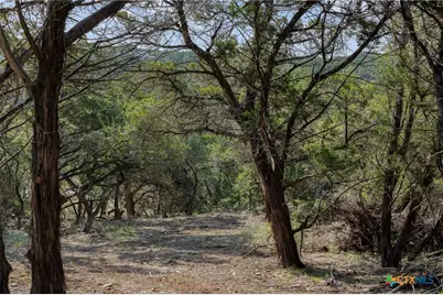 Tract 4 Mount Olive School Road, Wimberley, TX 78676 - Photo 20