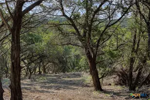 Tract 4 Mount Olive School Rd, Wimberley, TX 78676 - Photo 20