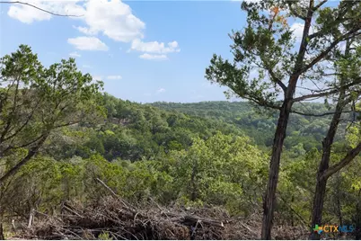 Tract 4 Mount Olive School Road, Wimberley, TX 78676 - Photo 2
