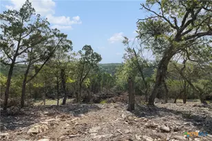 Tract 4 Mount Olive School Rd, Wimberley, TX 78676 - Photo 1