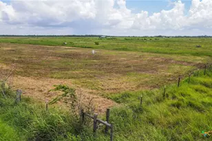 Tbd Cr 393, Louise, TX 77455 - Photo 10