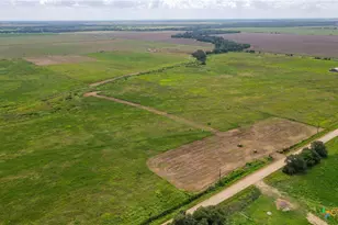 Tbd Cr 393, Louise, TX 77455 - Photo 4