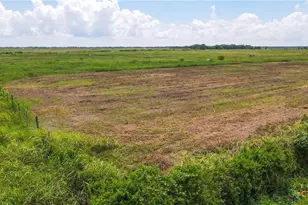Tbd Cr 393, Louise, TX 77455 - Photo 12