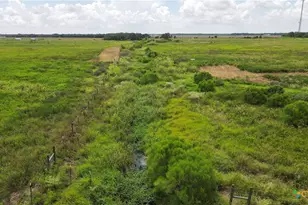 Tbd Cr 393, Louise, TX 77455 - Photo 6