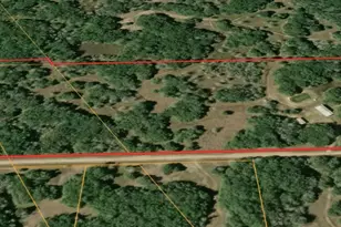 2643 Co Rd 453, Midfield, TX 77458 - Photo 2