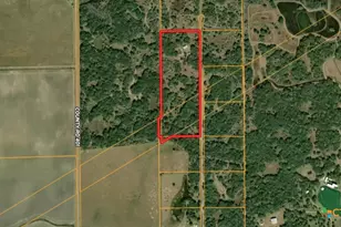 2643 Co Rd 453, Midfield, TX 77458 - Photo 4