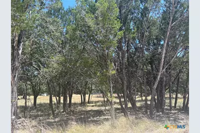 219 County Road 4360, Lampasas, TX 76550 - Photo 2