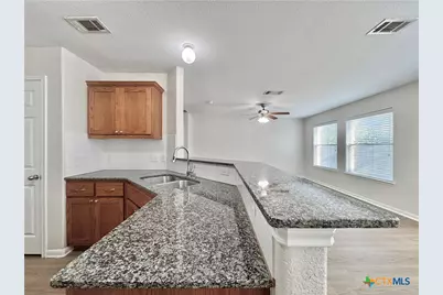 1411 Bergin Court, Georgetown, TX 78626 - Photo 4