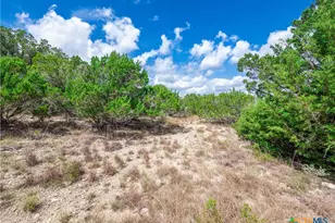 646 Appaloosa Dr, Fischer, TX 78623 - Photo 30