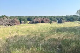 1048 Co Rd 426, Purmela, TX 76566 - Photo 22