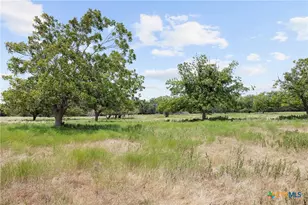 Tract 4 Fm 3158, Dale, TX 78616 - Photo 10