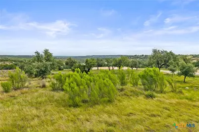 195 Lilly Belle Way, Johnson City, TX 78636 - Photo 8