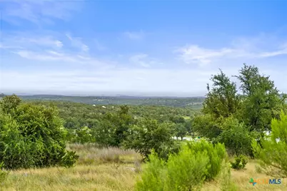 195 Lilly Belle Way, Johnson City, TX 78636 - Photo 10