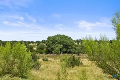 195 Lilly Belle Way, Johnson City, TX 78636 - Photo 16