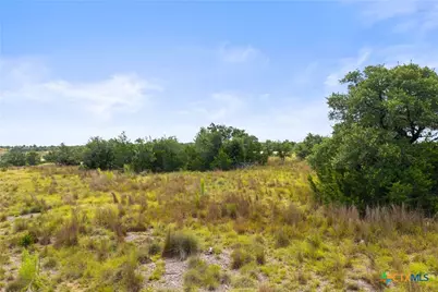 195 Lilly Belle Way, Johnson City, TX 78636 - Photo 18