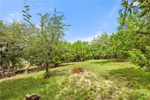 141 Cody Ct, Canyon Lake, TX 78133 - Photo 24