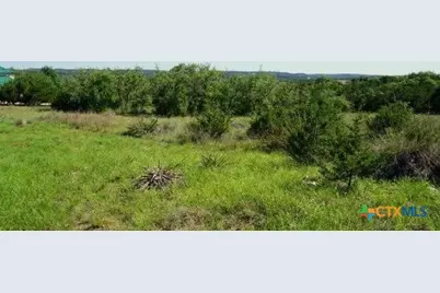124 Sendera Way, Canyon Lake, TX 78133 - Photo 4