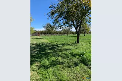 263 Krams Creek Road, Seguin, TX 78155 - Photo 12