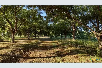 263 Krams Creek Road, Seguin, TX 78155 - Photo 10